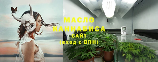 молекула духа Вязьма