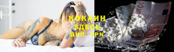 молекула духа Вязьма