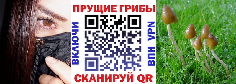 наркотики  Кулебаки  Псилоцибиновые грибы прущие грибы 